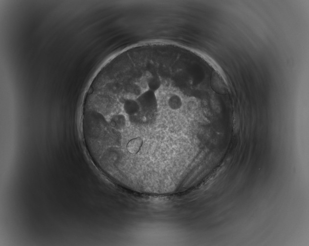 X0000094790911200712141635