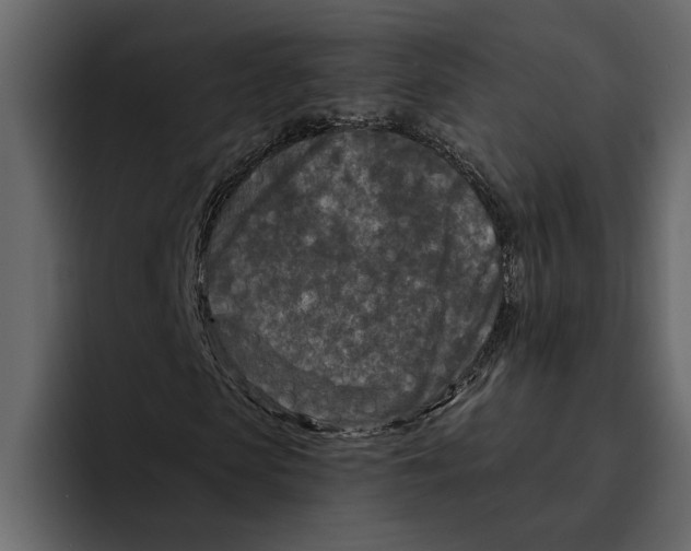 X0000094790913200712141634