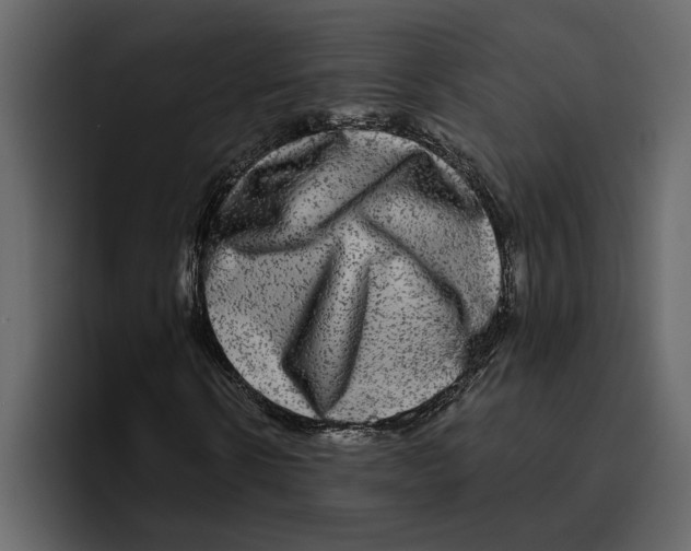 X0000094790914200712141634