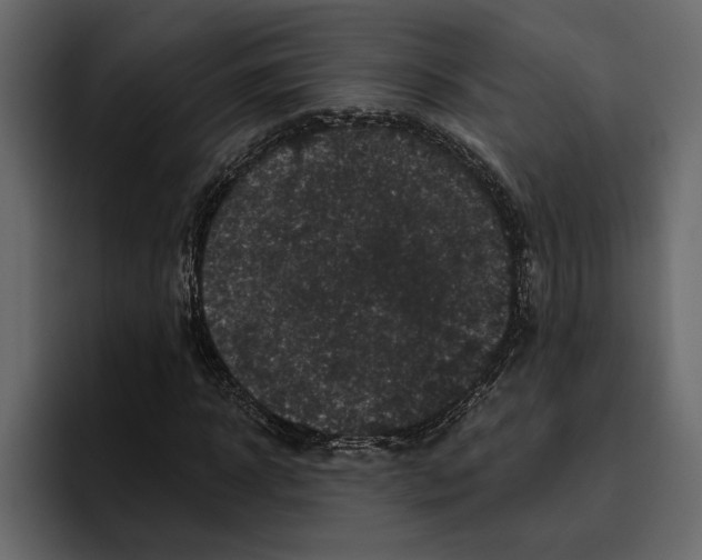 X0000094790918200712141635