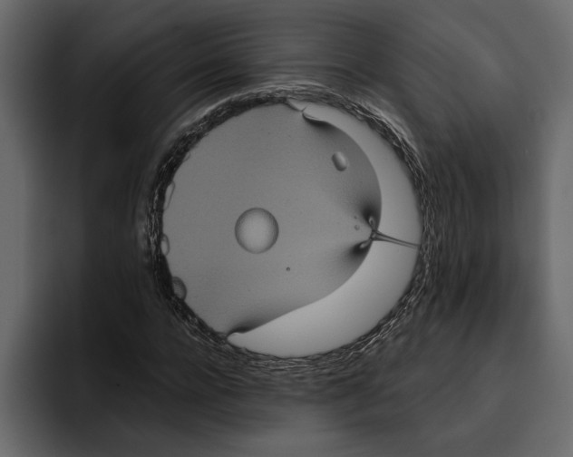 X0000094790920200712141635