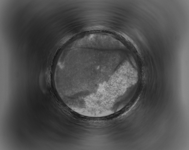 X0000094790921200712141635