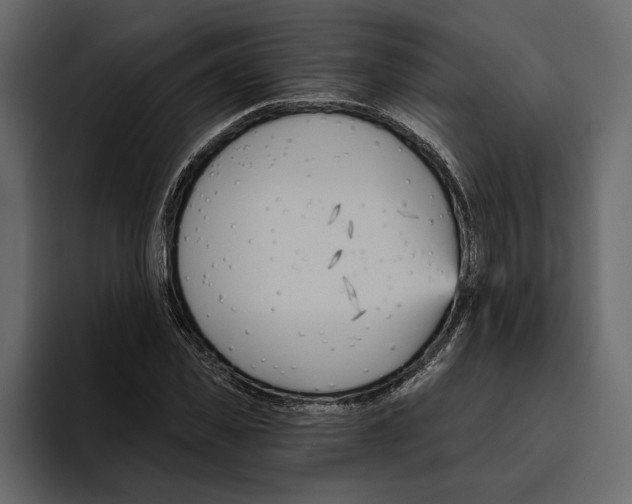 X0000094790925200712141635