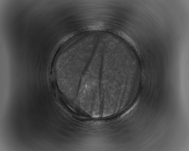 X0000094790930200712141635