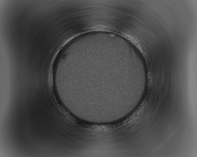 X0000094790931200712141635