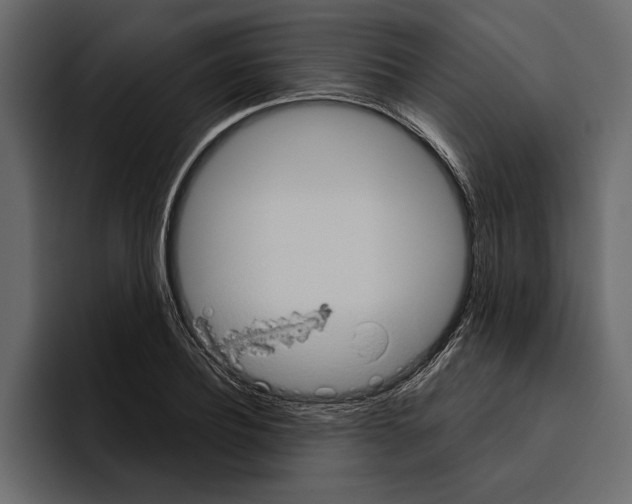 X0000094790932200712141635