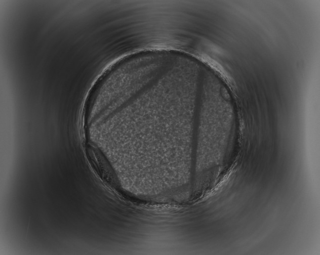 X0000094790934200712141635