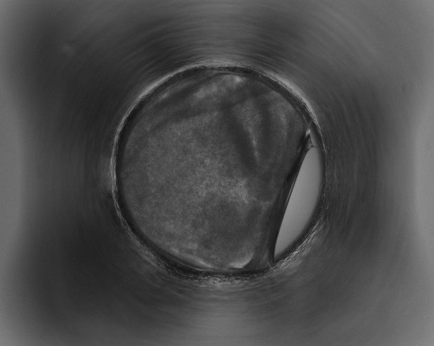 X0000094790935200712141635