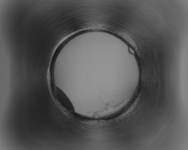 X0000094790936200712141635