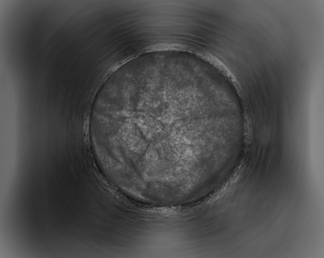 X0000094790937200712141635