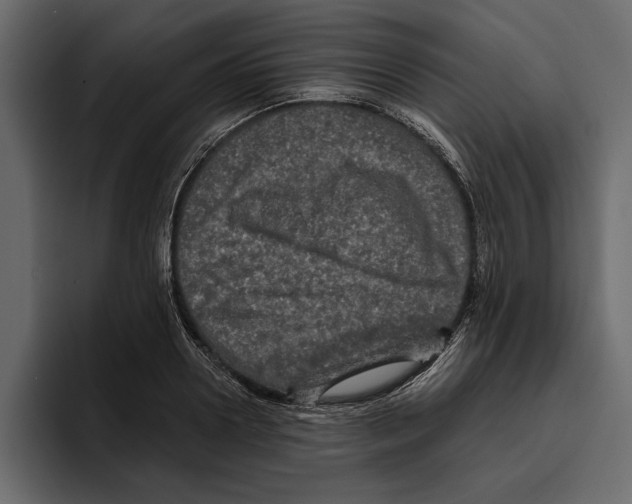 X0000094790938200712141635