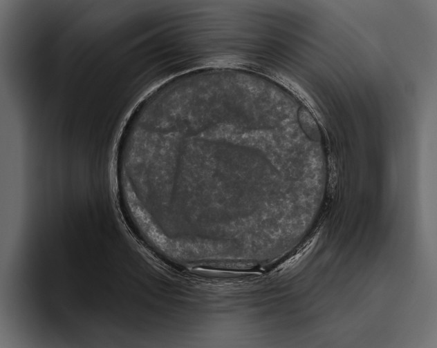 X0000094790939200712141635