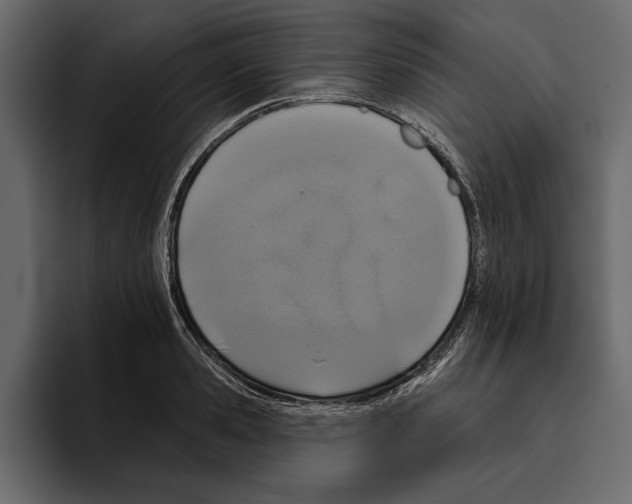 X0000094790941200712141635