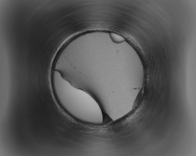 X0000094790942200712141635