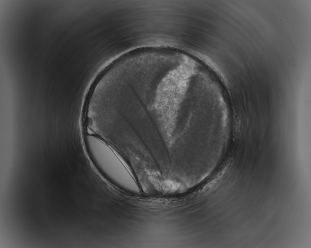 X0000094790943200712141635