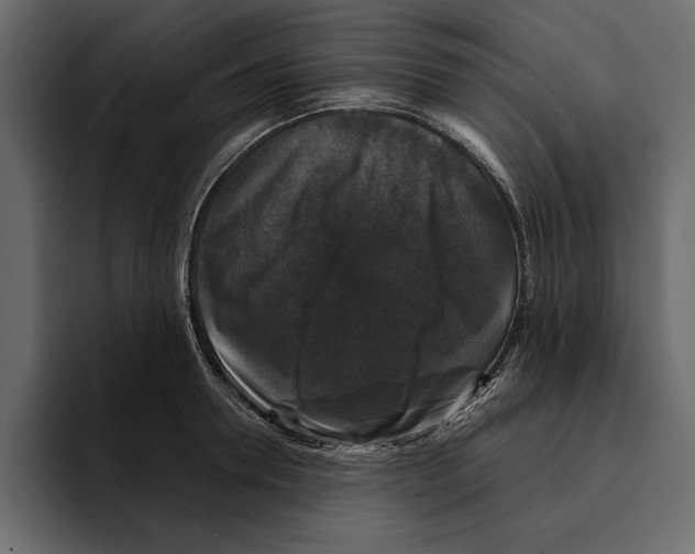 X0000094790946200712141635