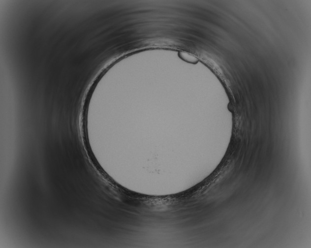 X0000094790947200712141635