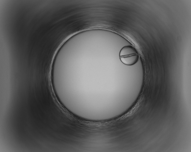 X0000094790948200712141635