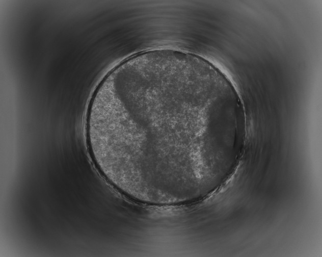 X0000094790949200712141635