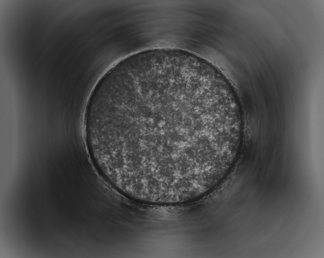 X0000094790950200712141635