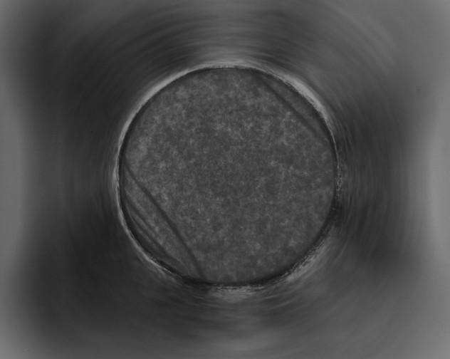 X0000094790951200712141635