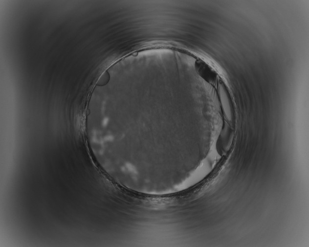 X0000094790953200712141635