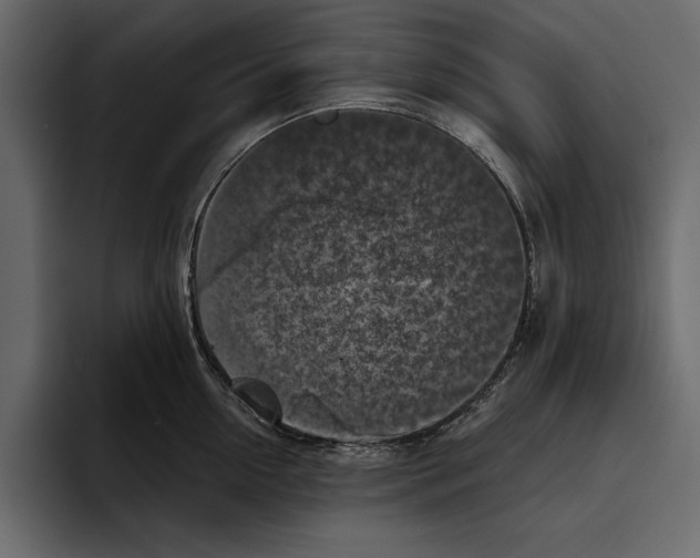 X0000094790954200712141635