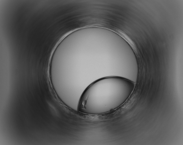 X0000094790956200712141635