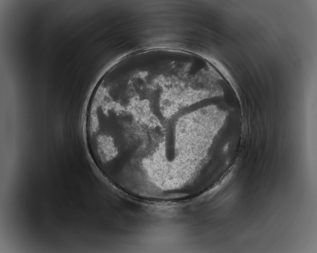 X0000094790957200712141635