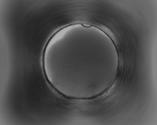 X0000094790958200712141635