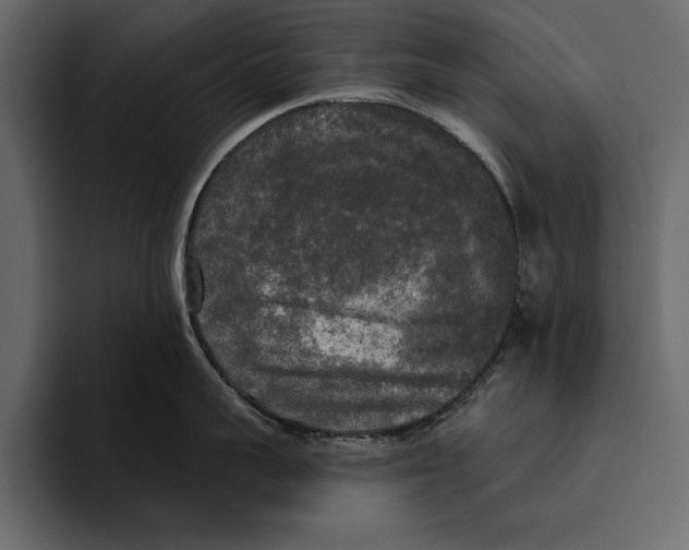 X0000094790959200712141635