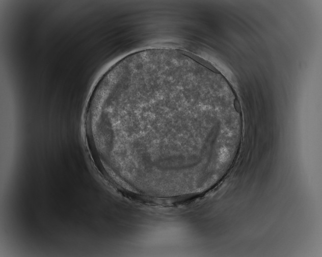 X0000094790960200712141635