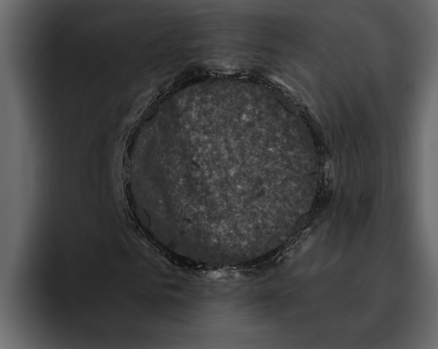 X0000094790961200712141634