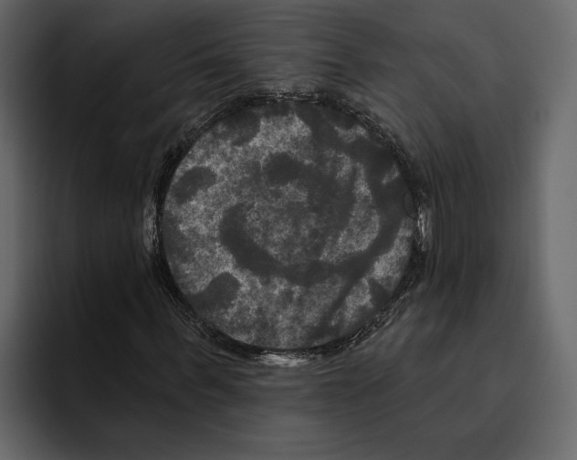 X0000094790963200712141634