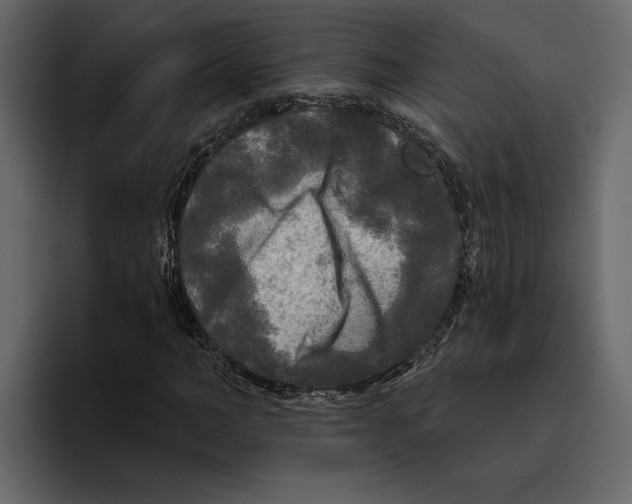 X0000094790966200712141634