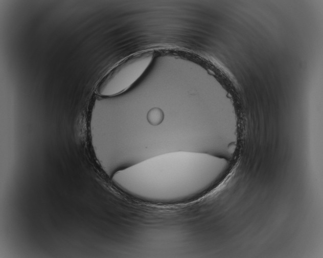 X0000094790969200712141634