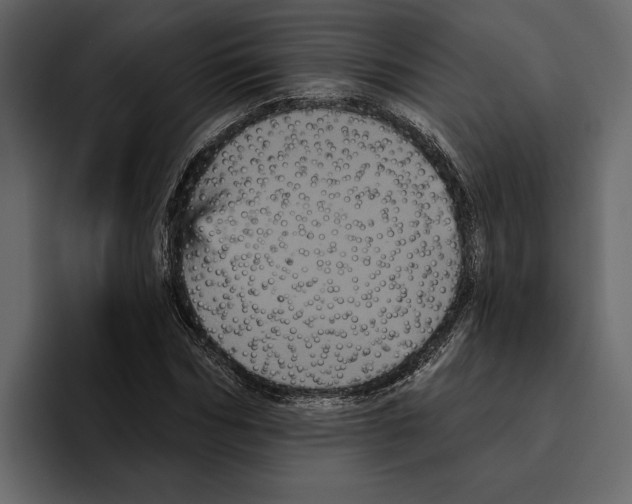 X0000094790970200712141634