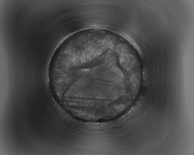 X0000094790972200712141634