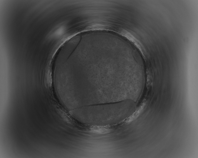 X0000094790973200712141634