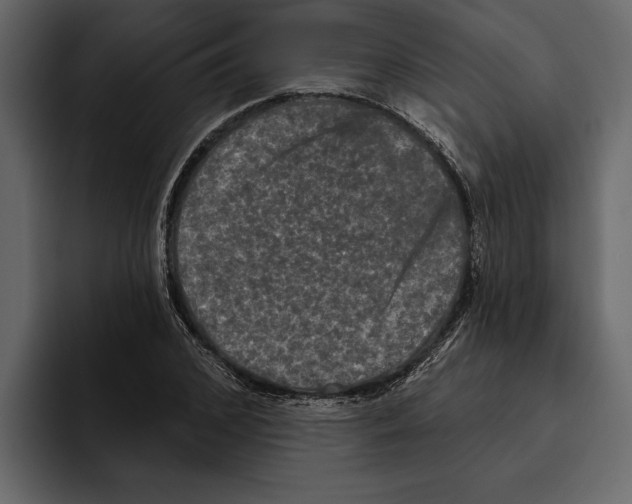 X0000094790976200712141634