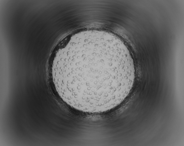 X0000094790978200712141634