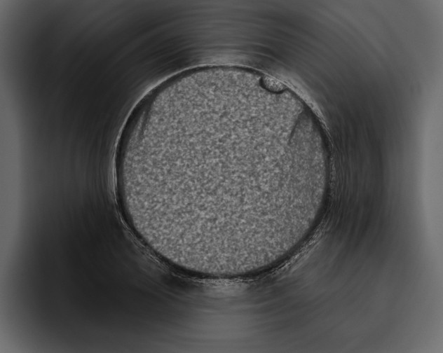 X0000094790980200712141634