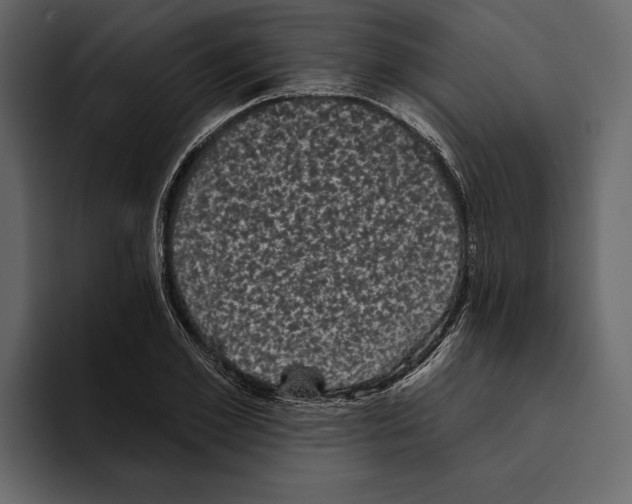 X0000094790981200712141634