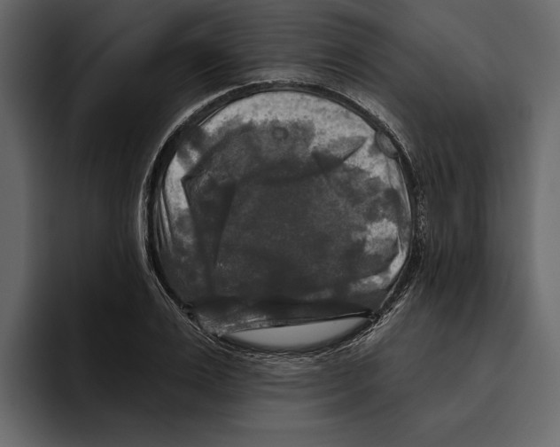 X0000094790983200712141634