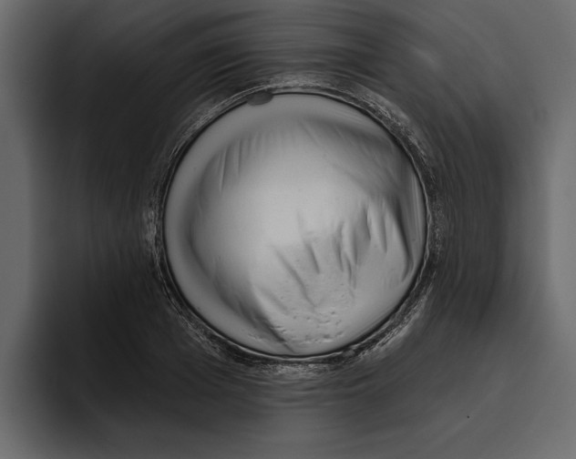 X0000094790985200712141634