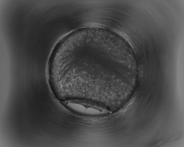 X0000094790987200712141634