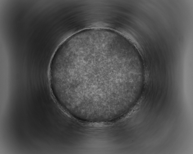 X0000094790990200712141634