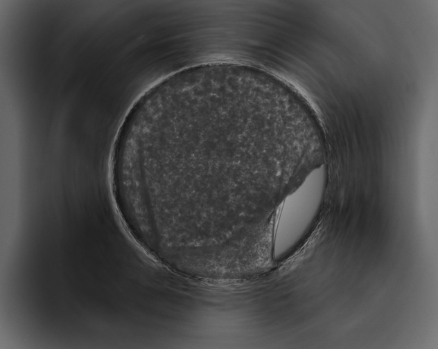 X0000094790991200712141634