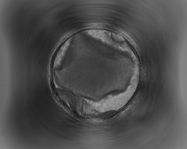 X0000094790994200712141634