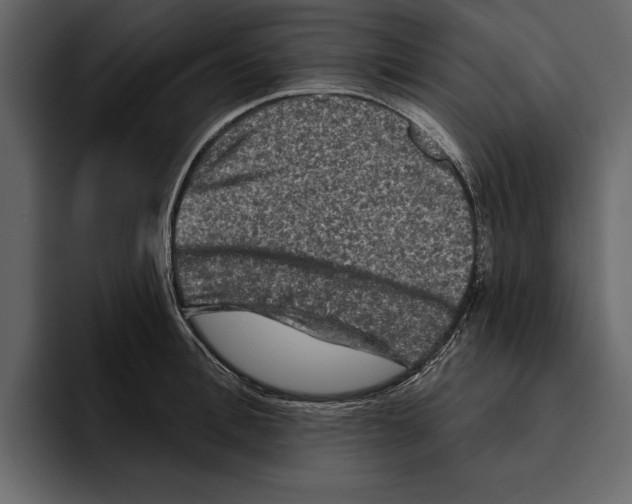 X0000094790996200712141634